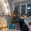 ���� ����, ��������� - ��������� 6 ������� 2022 � ������ �2022 �.�