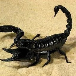 ���� ����, �����, 47 ��� - ��������� 15 ������� 2023