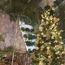 ���� Giedrius, ������, 42 ���� - ��������� 9 ������ 2023 � ������ ���� ����������