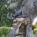 ���� ����, ��������, 60 ��� - ��������� 25 ���� 2022 � ������ ���� ����������