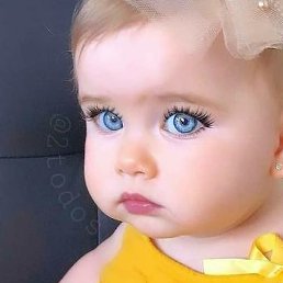 ����, ��������, 28 ���