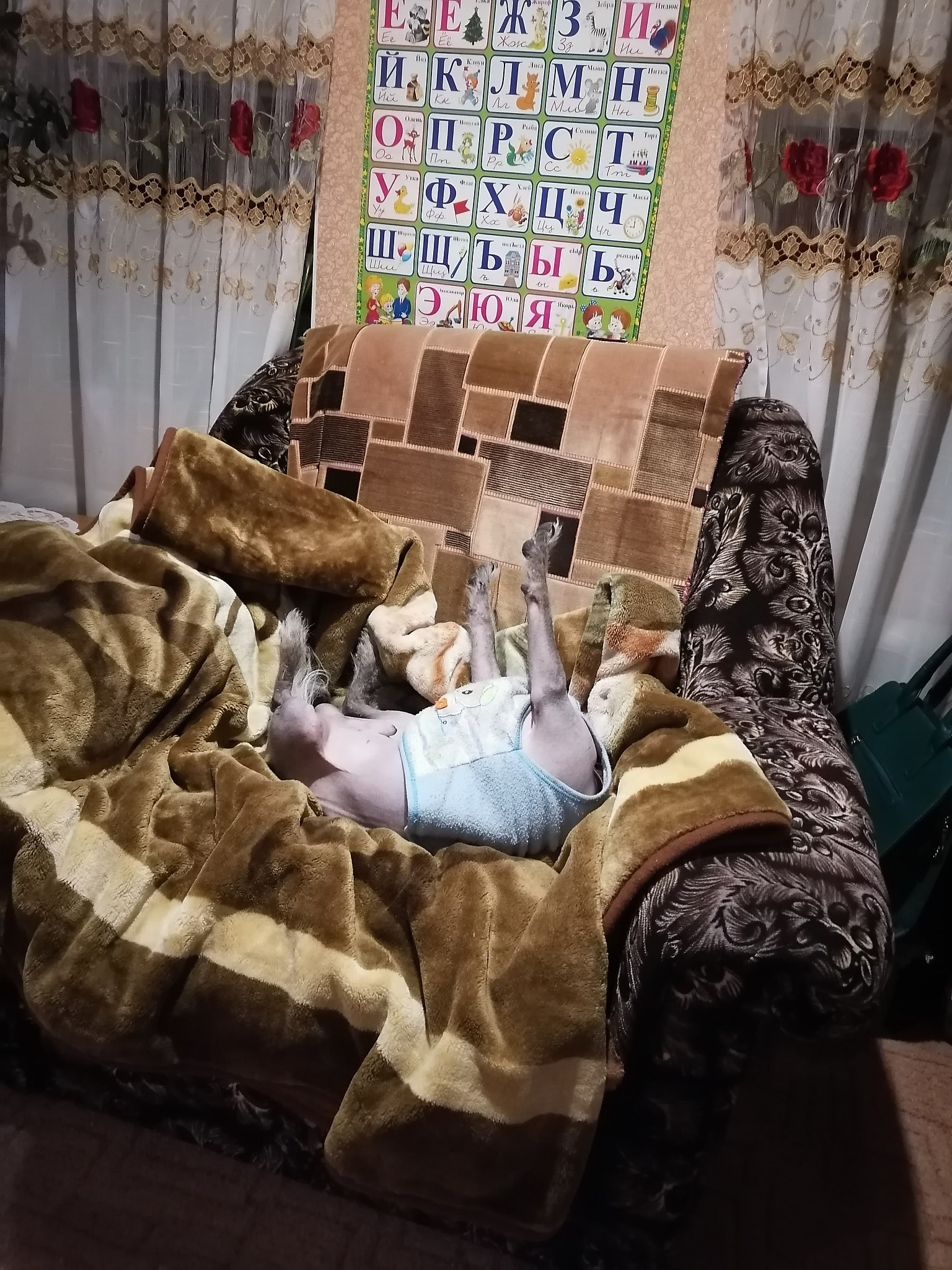 ����� - 22 ������� 2022 � 08:56