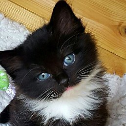 ���� �����, ������, 42 ���� - ��������� 3 ������ 2022