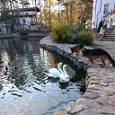 ���� �������, ������, 63 ���� - ��������� 25 ������� 2022