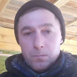 �������� ����������, �������, 46 ���