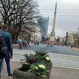 , , 70 