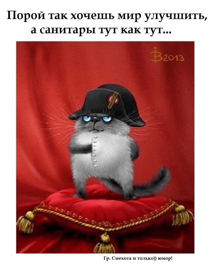 Геннадий - 13 октября 2022 в 16:24