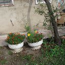 ���� �����, ����������� - ��������� 29 ��� 2022 � ������ ���� ����������