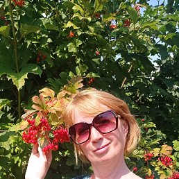 ���� �����, ������, 57 ��� - ��������� 26 ������� 2022