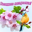 ���� ���������, ����������� - ��������� 7 ����� 2022 � ������ ������ ��������