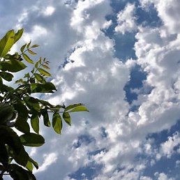 Xusan, ������, 28 ���