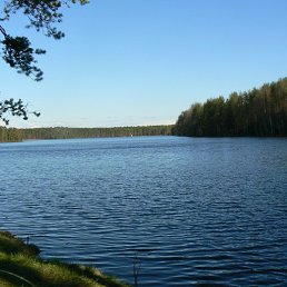 ������, �����-���������, 51 ���