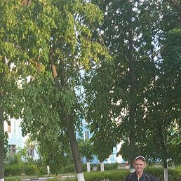 ����, ������ ��������, 52 ����