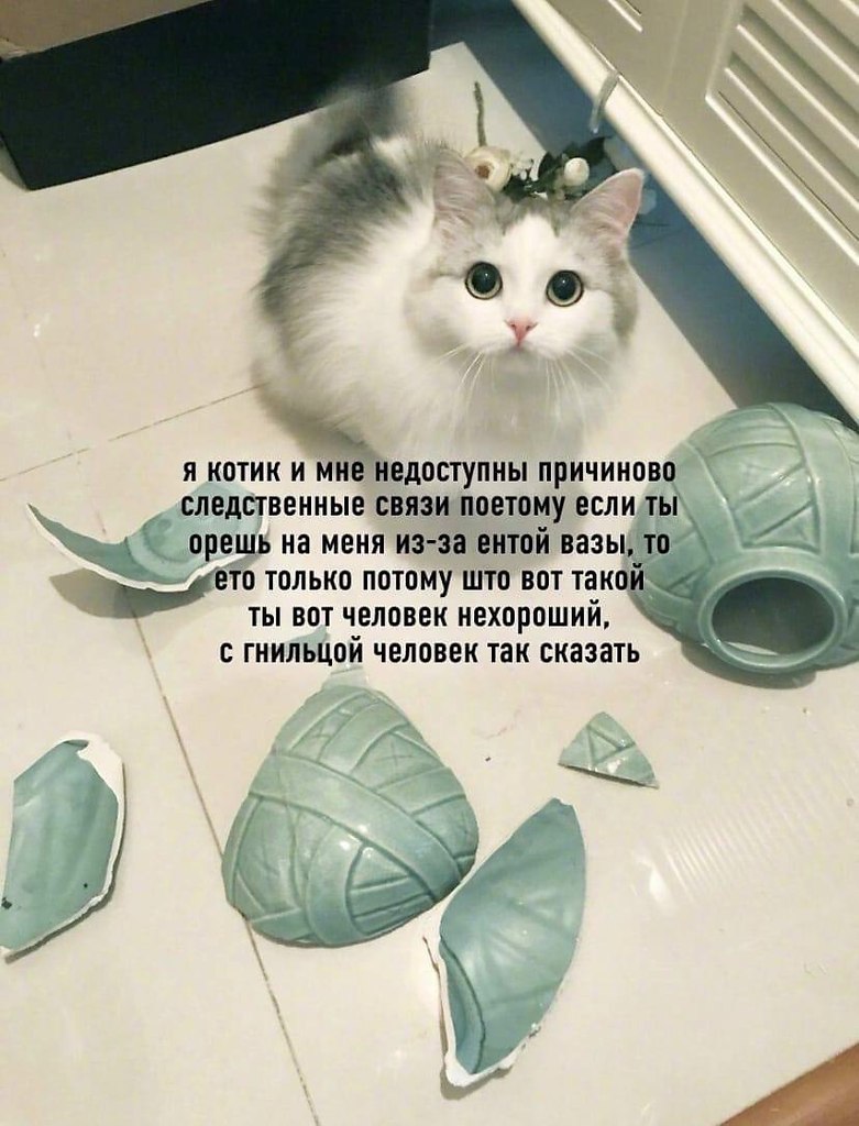    - 26  2023  09:23