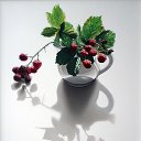 ���� �������, ���������, 44 ���� - ��������� 10 ������ 2022 � ������ ������ ��������