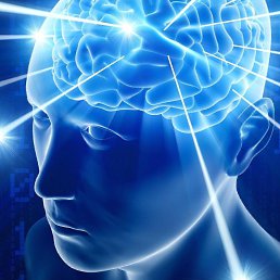 ���� ����, �����������, 24 ���� - ��������� 21 ������ 2022