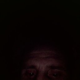 �������, ����, 46 ���