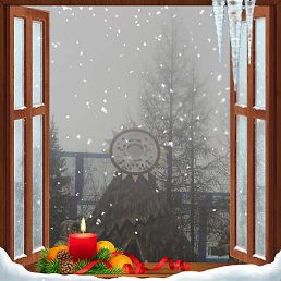 ���� Ivan, ������, 41 ��� - ��������� 13 ������� 2023