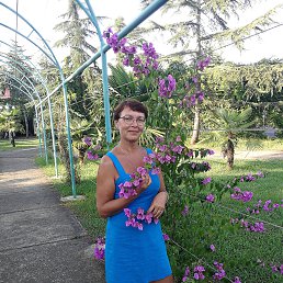 ���� �����, �������, 61 ��� - ��������� 2 ������� 2022