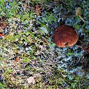 ���� ���, ���������, 68 ��� - ��������� 1 �������� 2022 � ������ ���� ����������