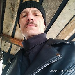 ���� ����, �����, 54 ���� - ��������� 2 ������� 2022
