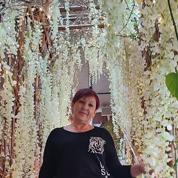 ���� �������, �����������, 64 ���� - ��������� 19 ������ 2022