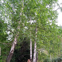 ���� �������, ������, 55 ��� - ��������� 16 ������� 2022