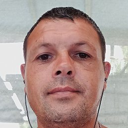 �����, ������, 41 ���