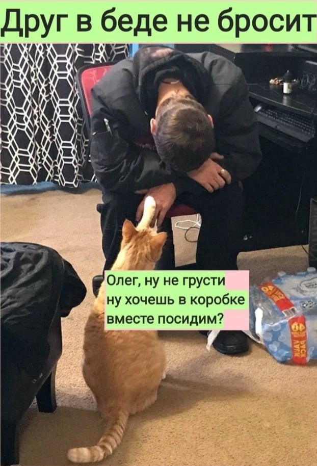   :D - 8  2022  08:47