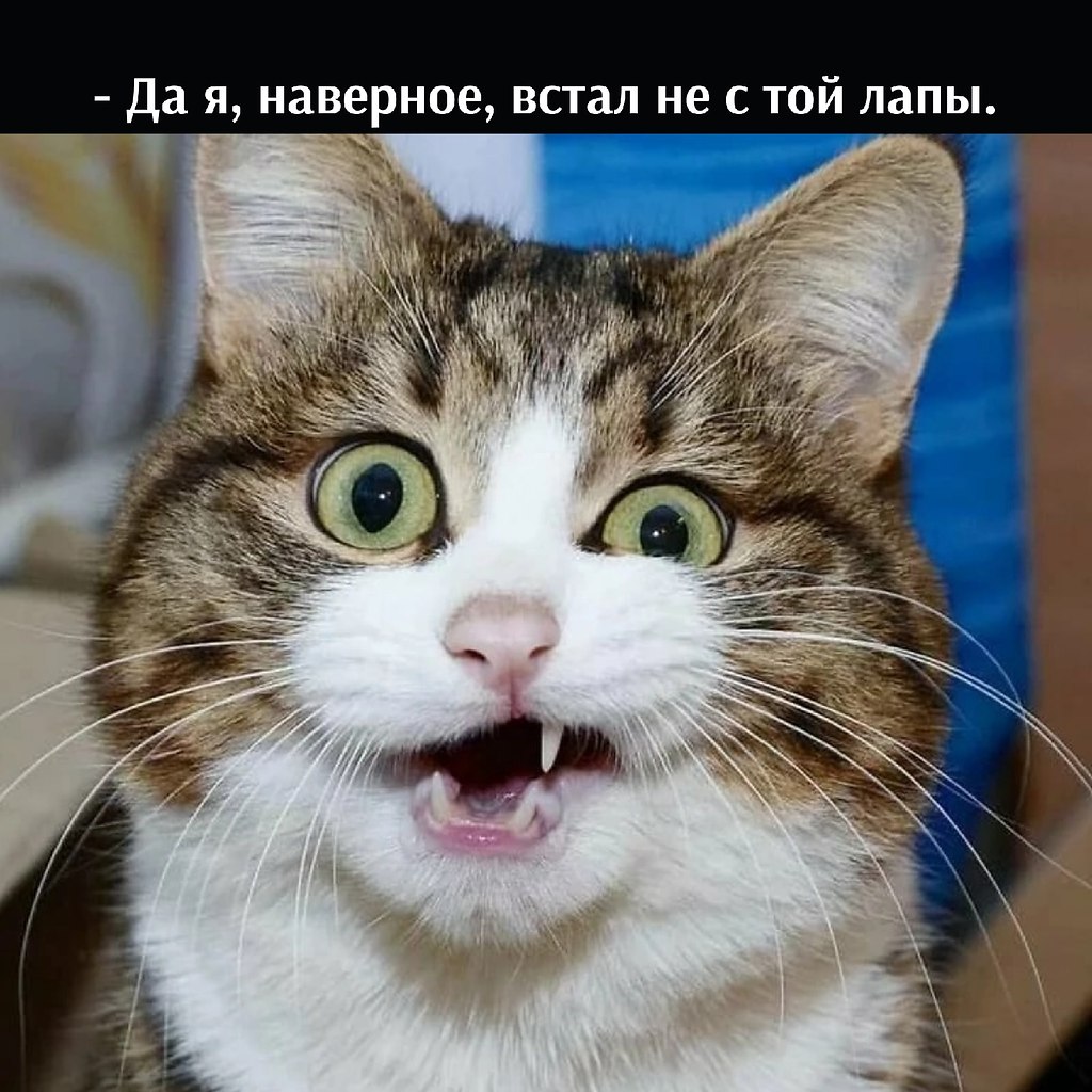       - 2  2022  16:33 - 2