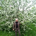 ��������, ������ ���� ���� �� ������� ���� ����������