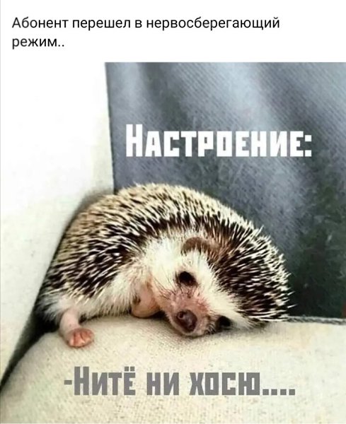 ***Victoria Viktorovna*** - 23  2022  04:57