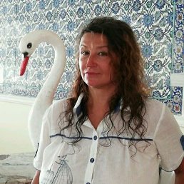 �������, ������������, 48 ���