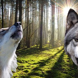 ���� ����, �����������, 38 ��� - ��������� 12 ������� 2022