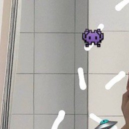 �����, �������, 24 ����