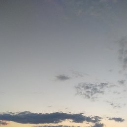 �����, ������, 46 ���