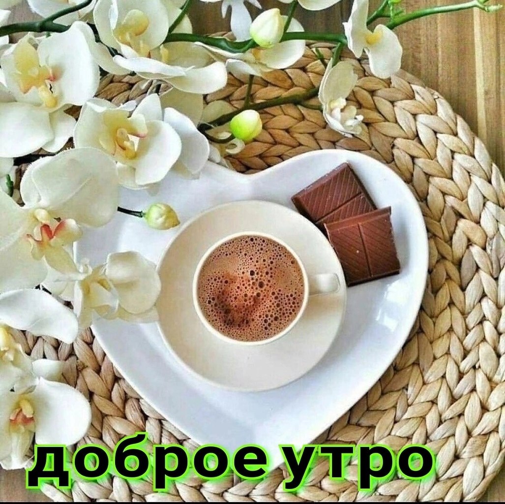   ,    . - 9  2022  22:41 - 8