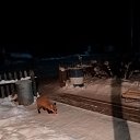 ���� �������, ������, 76 ��� - ��������� 10 ������� 2022 � ������ ���� ����������