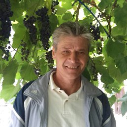 ���� �������, ������, 61 ��� - ��������� 5 ������ 2022