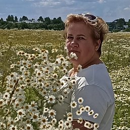 ���������, �����-���������