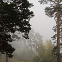 ���� �������, ������������ - ��������� 22 ������� 2022 � ������ ���� ����������