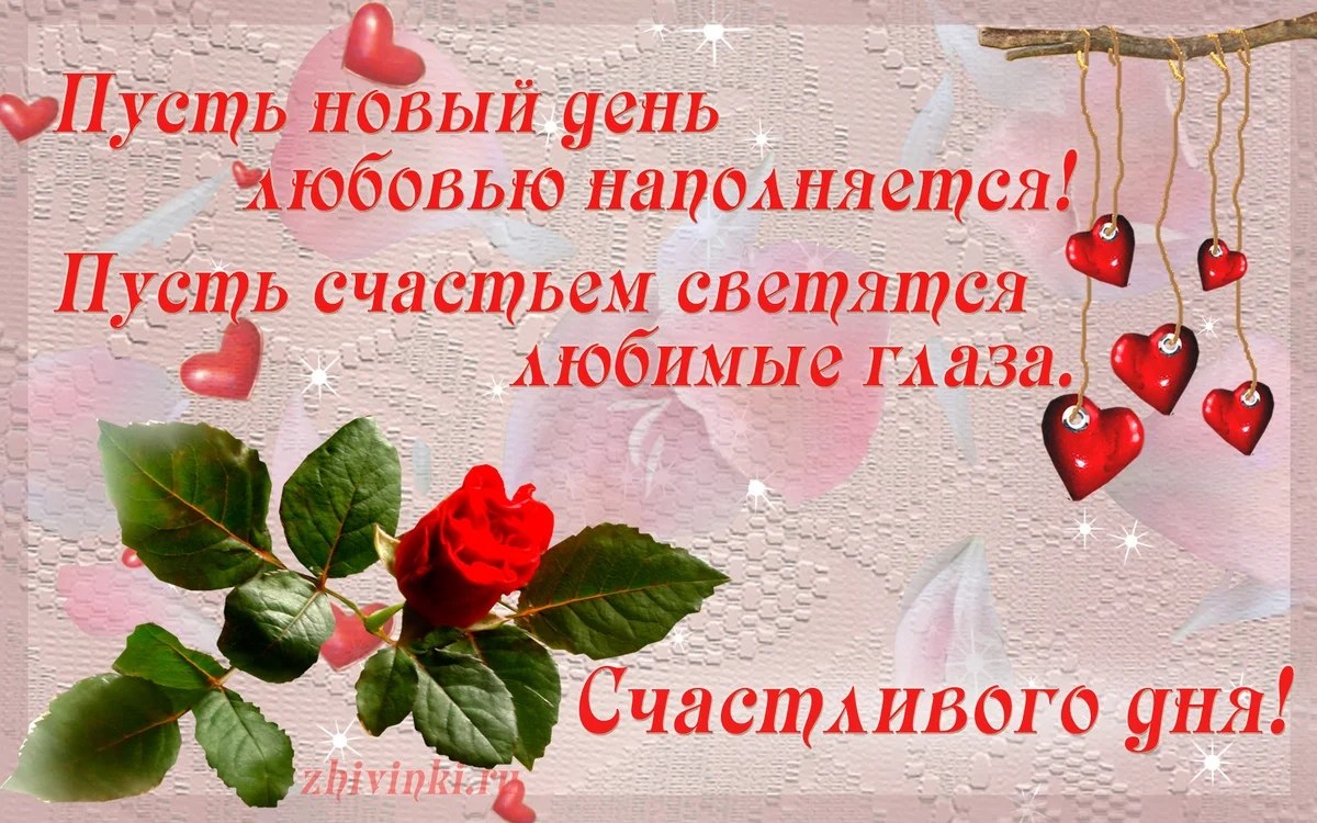   ,    . - 17  2022  09:22