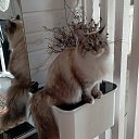 ���� ������, ������, 65 ��� - ��������� 28 ���� 2022 � ������ ���� ����������