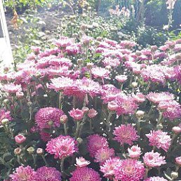 ���� �������, ����, 63 ���� - ��������� 30 ������ 2023