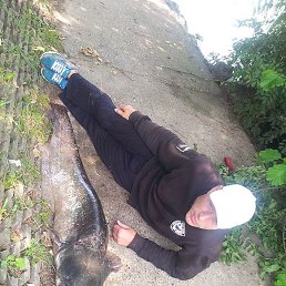 Igor, ���������, 46 ���