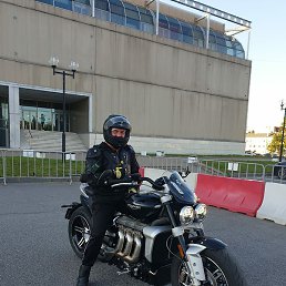 ����, �����-���������, 54 ����