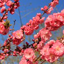 ���� ������, �����, 71 ��� - ��������� 30 ������ 2022 � ������ ��������� ������