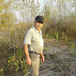 ������, �����������, 55 ���