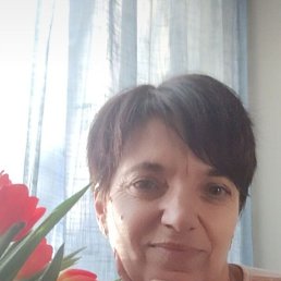 ���� ��������, �����, 56 ��� - ��������� 17 ������ 2023