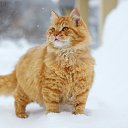 ���� ���������, ��������� - ��������� 25 ������� 2022 � ������ ���� ����������